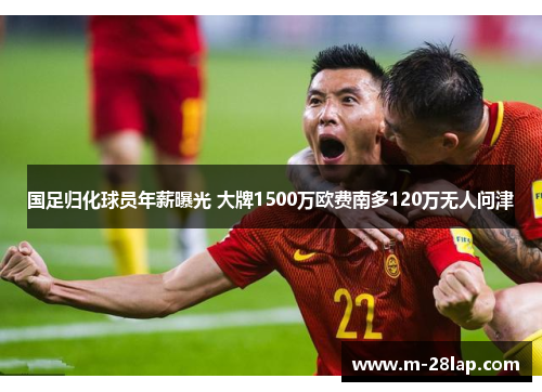 国足归化球员年薪曝光 大牌1500万欧费南多120万无人问津