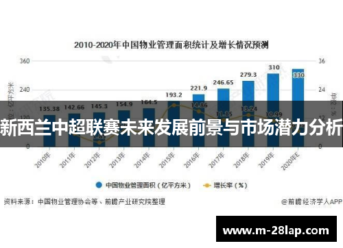 新西兰中超联赛未来发展前景与市场潜力分析