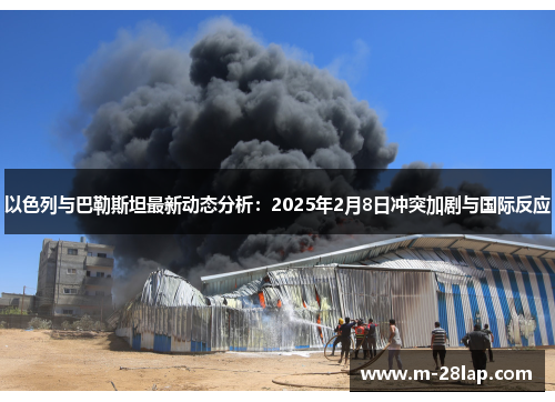 以色列与巴勒斯坦最新动态分析：2025年2月8日冲突加剧与国际反应